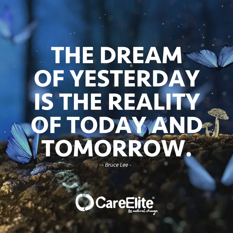 "The dream of yesterday is the reality of today and tomorrow." (Quote from Bruce Lee)