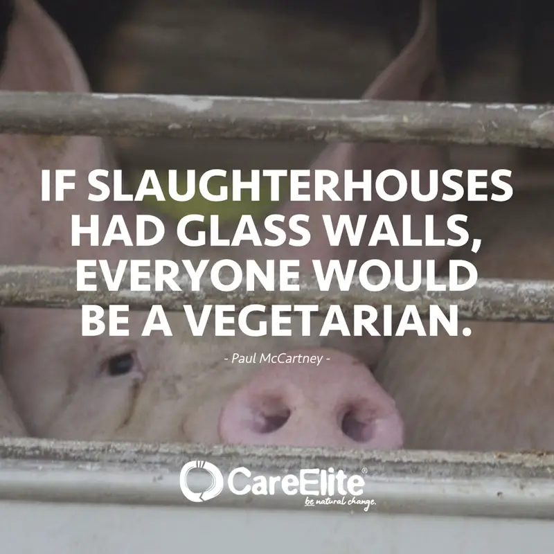 "If slaughterhouses had glass walls, everyone would be a vegetarian."(Quote by Paul McCartney)