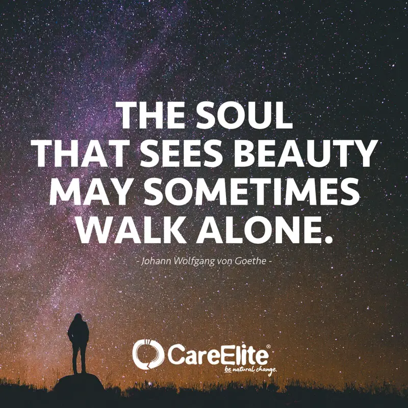 "The soul that sees beauty may sometimes walk alone." (Loneliness Quote by Johann Wolfgang Von Goethe)