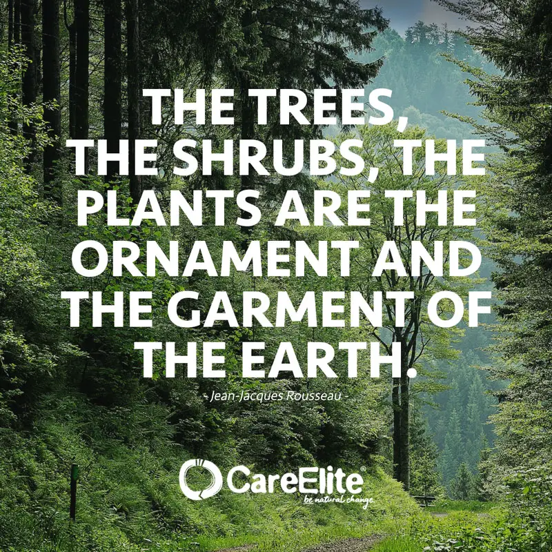 "The trees, the shrubs, the plants are the ornament and the garment of the earth." (Quote from Jean-Jacques Rousseau)