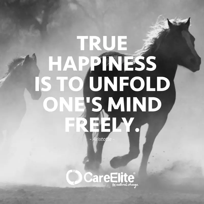 "True happiness is to unfold one's mind freely." (Quote by Aristotle)