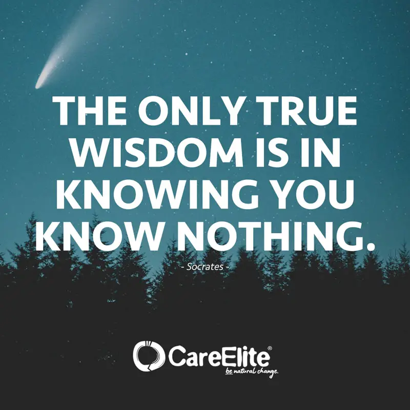 The only true wisdom is in knowing you know nothing." (Quote by Socrates)