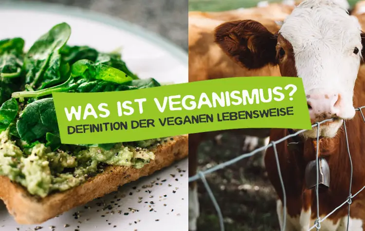 Vegan Definition: Was ist Veganismus einfach erklärt?