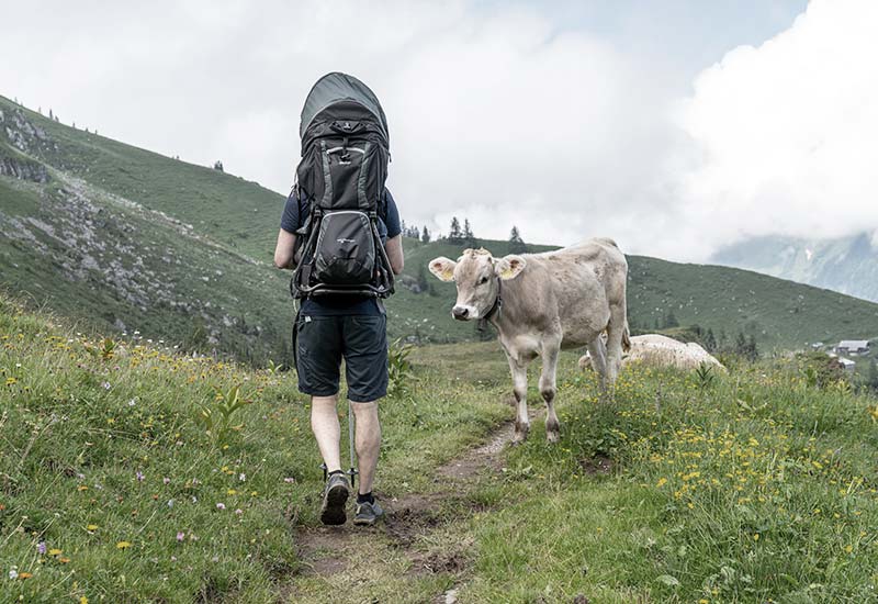 Animals can also become a hazard when hiking