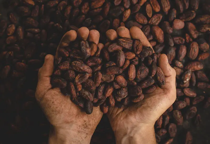 Sustainable coffee drinking and cooking with beans instead of pods