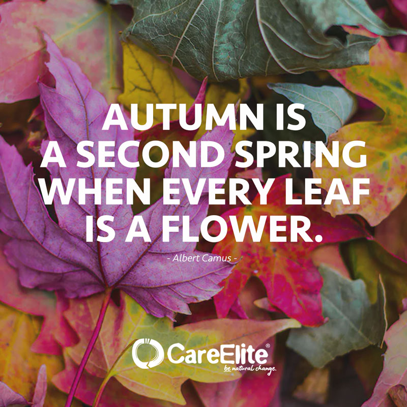 "Autumn is a second spring when every leaf is a flower." (Quote from Albert Camus)