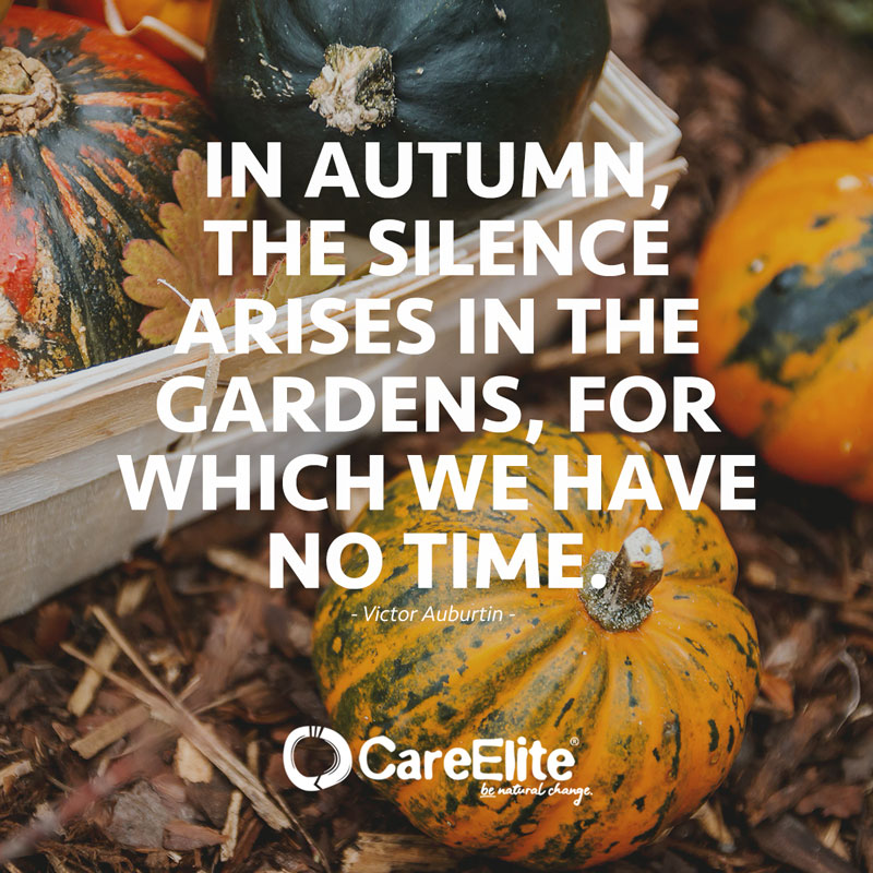 "In autumn, the silence arises in the gardens, for which we have no time."(Quote from Victor Auburtin)