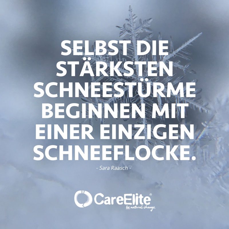 "Selbst die stärksten Schneestürme beginnen mit einer einzigen Schneeflocke." (Zitat von Sara Raasch)