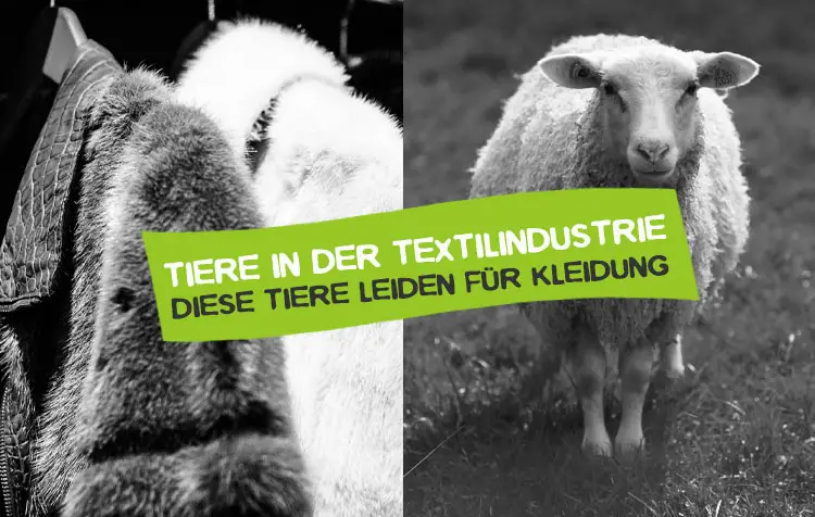 Tiere in der Textilindustrie – Tierleid für Mode und Kleidung