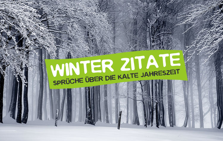 Winter Zitate – Die besten Sprüche über Schnee und die kalte Jahreszeit