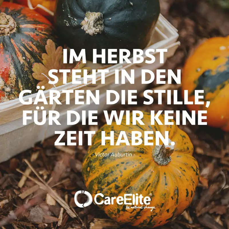 "Im Herbst steht in den Gärten die Stille, für die wir keine Zeit haben." (Zitat von Victor Auburtin)