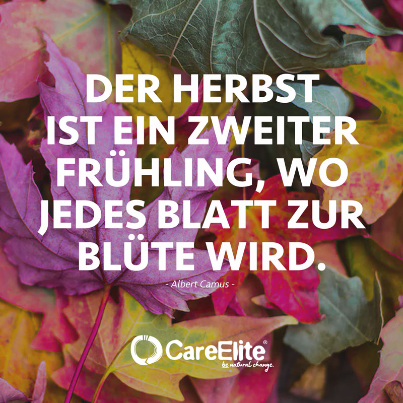 Herbst Zitate 30 Sprüche über Laub & Blätter • CareElite