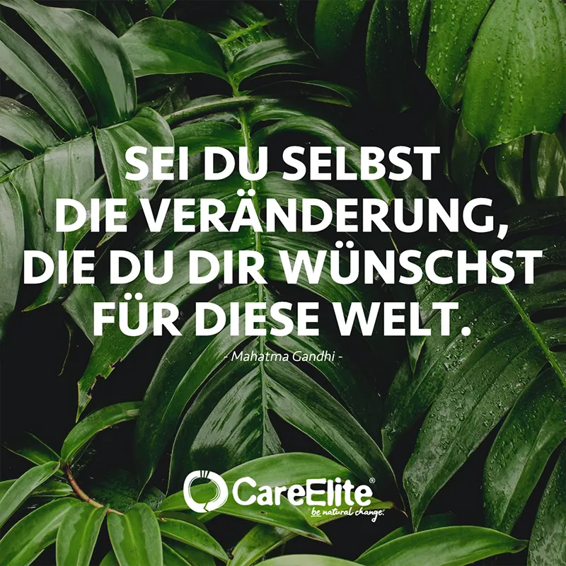 "Sei du selbst die Veränderung, die du dir wünschst für diese Welt." (Veränderung Zitat von Mahatma Gandhi)