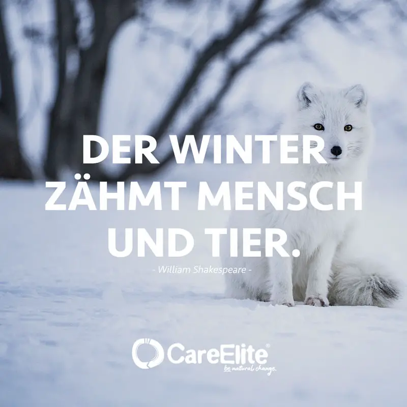 "Der Winter zähmt Mensch und Tier." (Zitat von William Shakespeare)