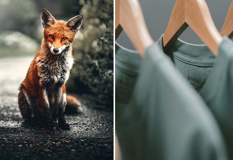 What to do about animal suffering in the fashion industry?