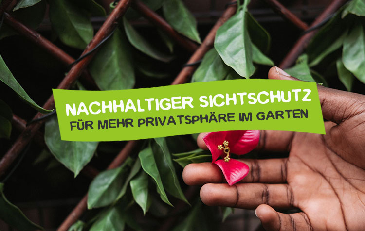 Nachhaltiger Sichtschutz im Garten