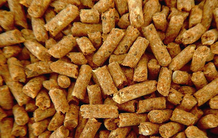 How eco-friendly are wood pellets as a fuel source?