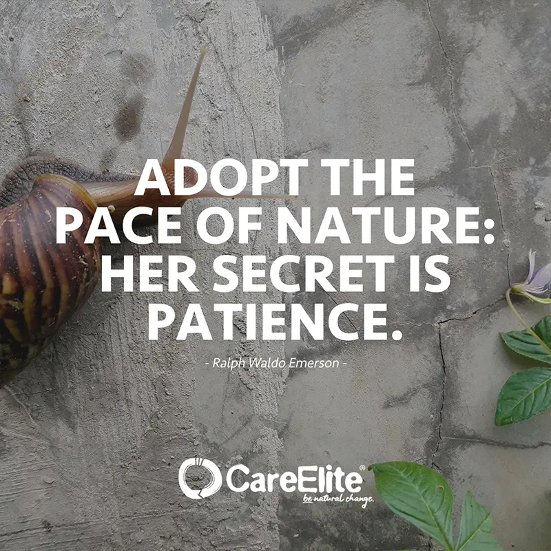 Adopt the pace of nature: her secret is patience. (Quote from Ralph Waldo Emerson) 