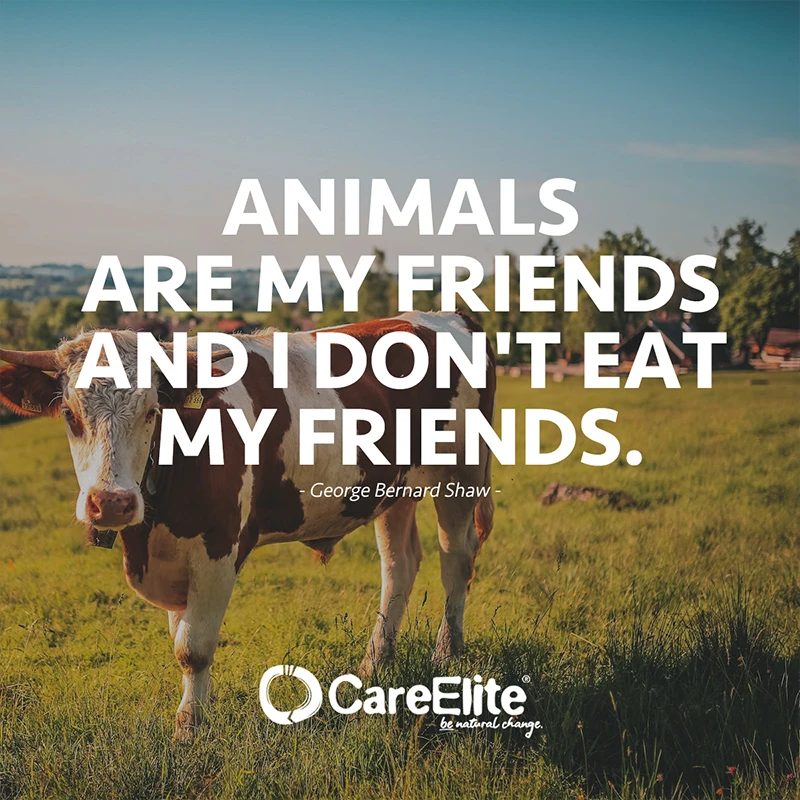 "Animals are my friends and I don't eat my friends." (Quote by George Bernard Shaw)