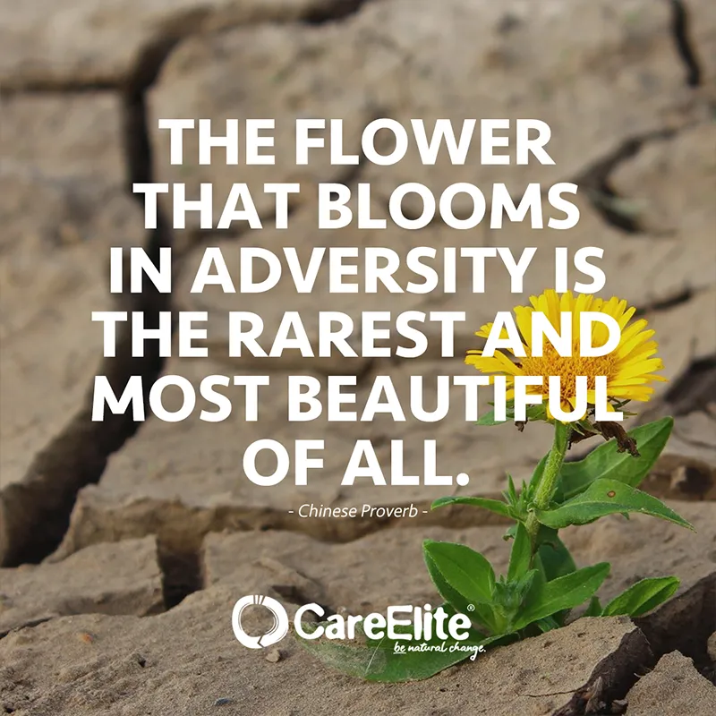 "The flower that blooms in adversity is the rarest and most beautiful of all." (Water Quote; Chinese proverb)