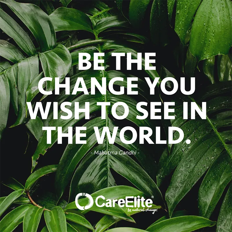 "Be the change you wish to see in the world." (Quote from Mahatma Gandhi)