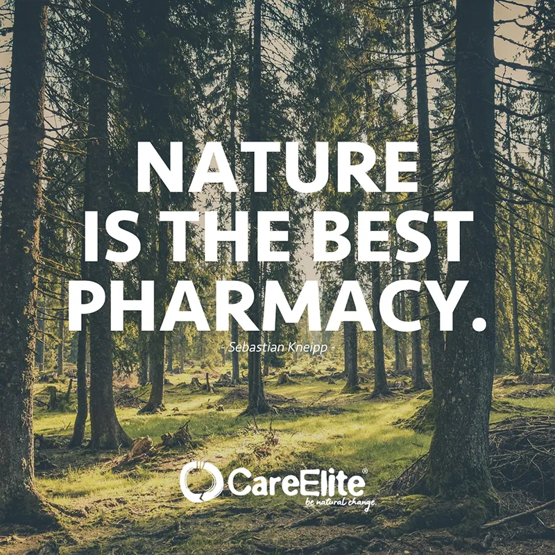 Nature is the best pharmacy. (Quote from Sebastian Kneipp)