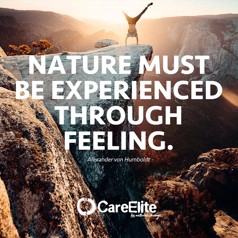 Nature must be experienced through feeling. (Quote from Alexander von Humboldt)