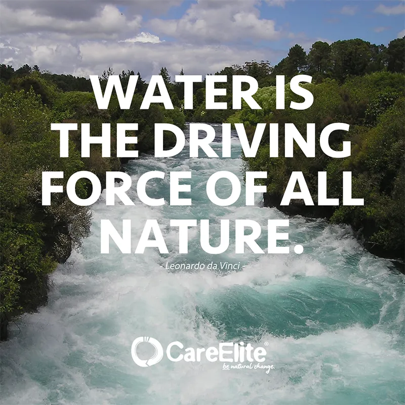 "Water is the driving force of all nature." (Water Quote from Leonardo da Vinci)
