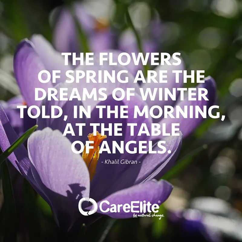 "The Flowers of spring are the dreams of winter told, in the morning, at the table of Angels." (Quote from Khalil Gibran)