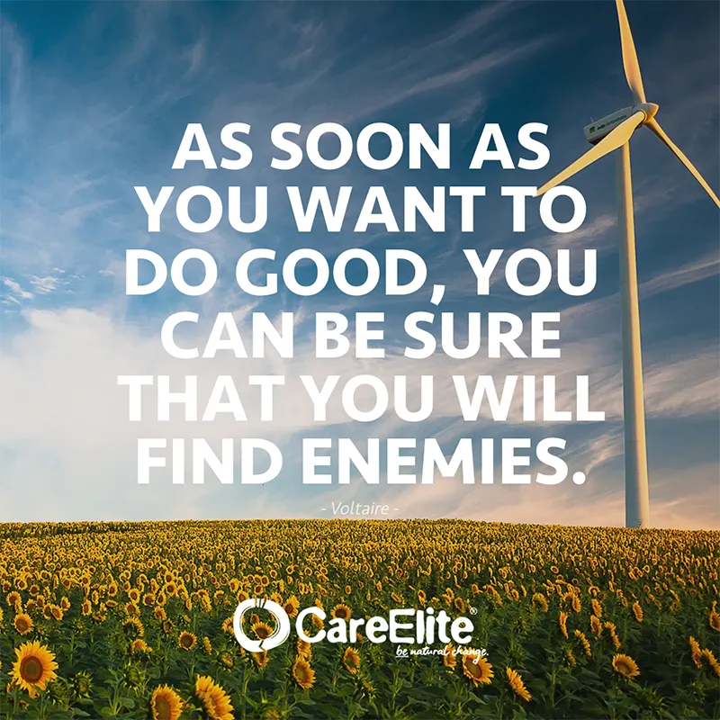 As soon as you want to do good, you can be sure that you will find enemies. (Quote from Voltaire)