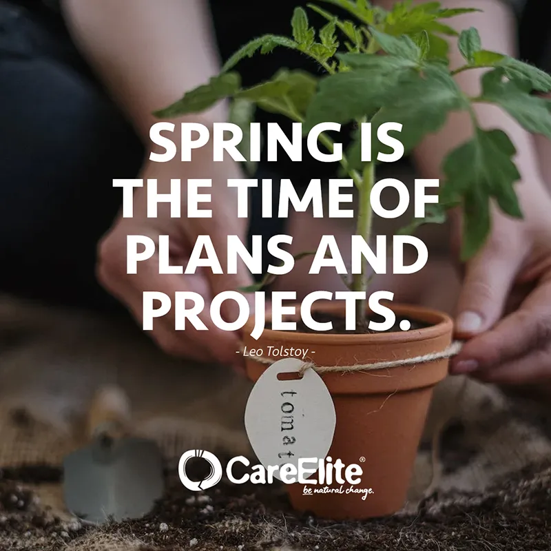 Spring is the time of plans and projects. (Quote from Leo Tolstoy)