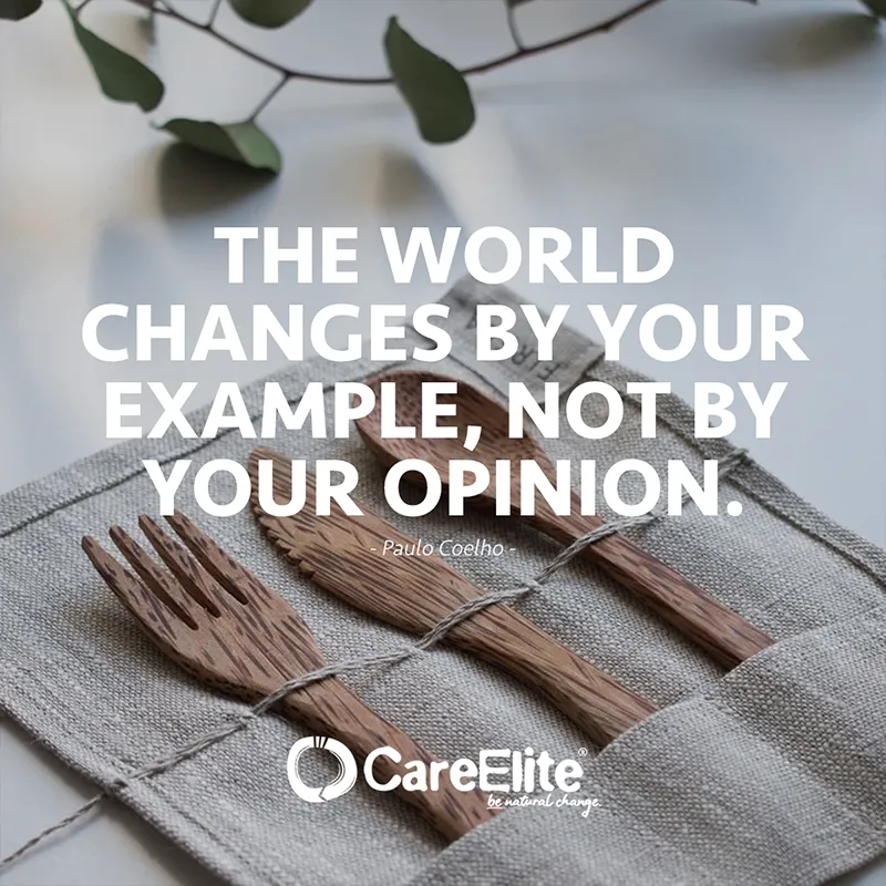 The world changes by your example, not by your opinion. (Quote from Paulo Coelho)