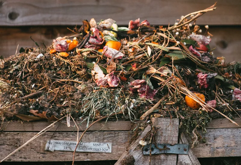 Müllvermeidung im Garten durch einen Komposthaufen