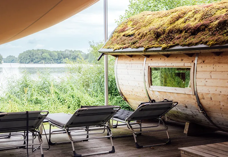 Green roof on the outdoor sauna