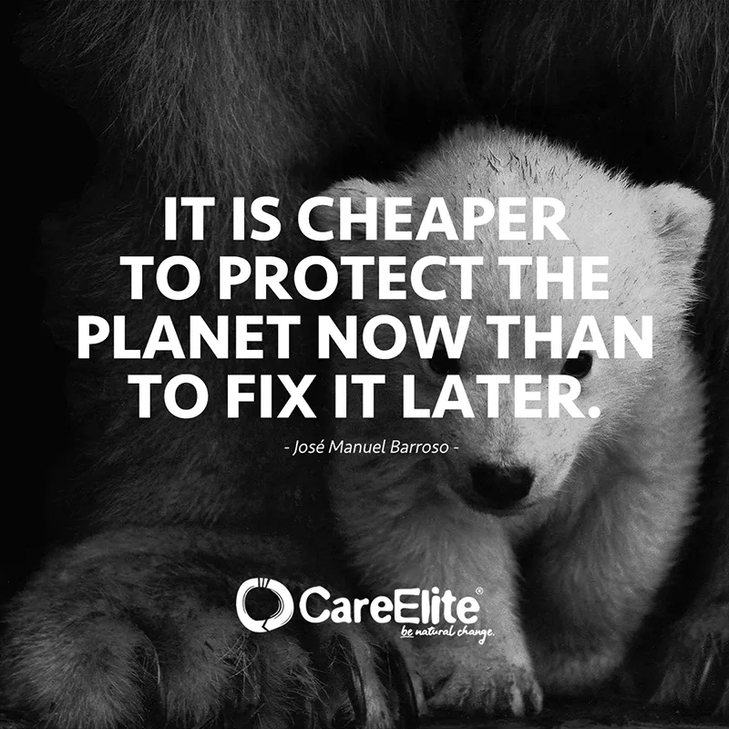 "It is cheaper to protect the planet now than to fix it later." (Quote from José Manuel Barroso)