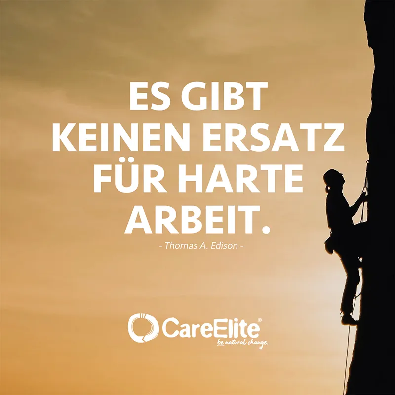 "Es gibt keinen Ersatz für harte Arbeit." (Zitat von Thomas A. Edison)