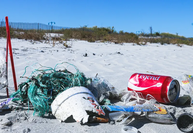 Vorteile und Gründe: Warum plastikfrei leben?