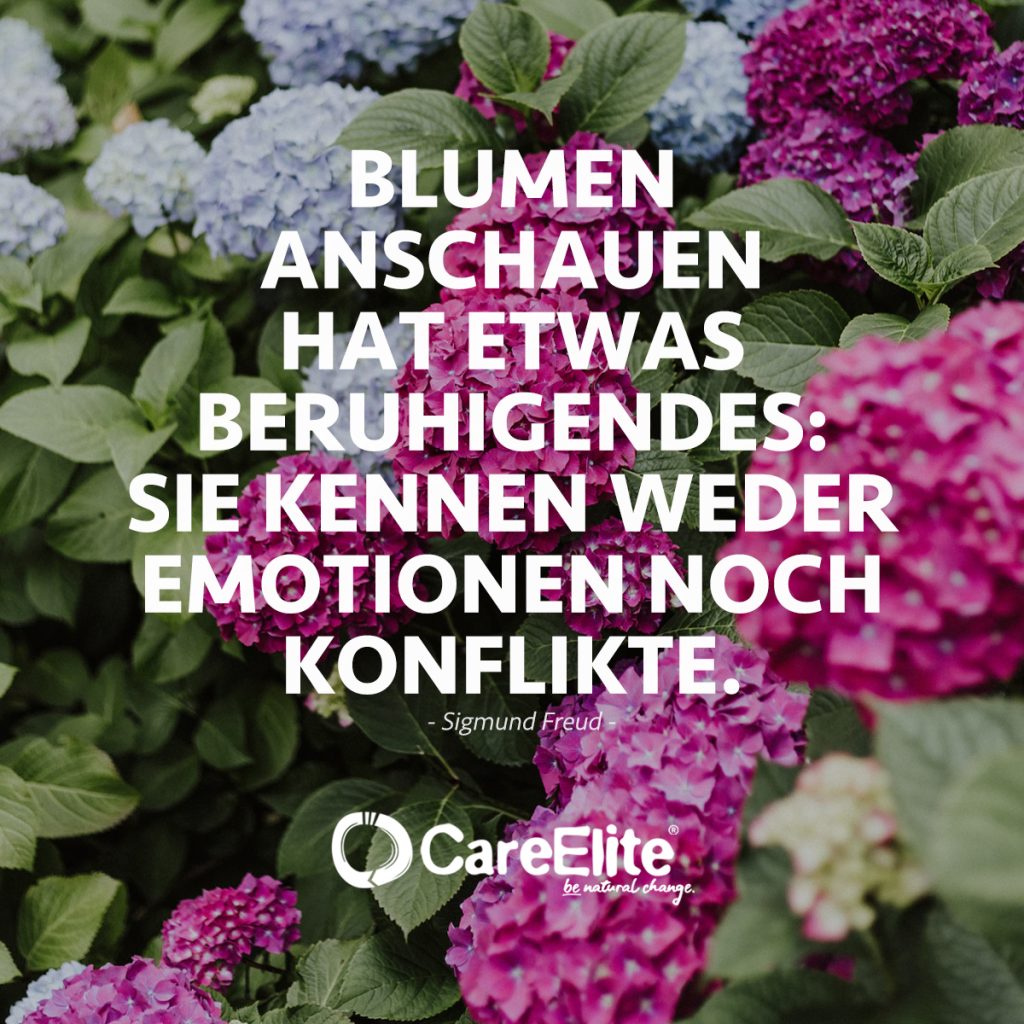 "Blumen anschauen hat etwas Beruhigendes: sie kennen weder Emotionen noch Konflikte." (Zitat von Sigmund Freud)