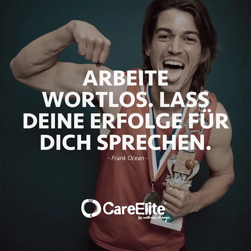 "Arbeite wortlos. Lass deine Erfolge für dich sprechen." (Zitat von Frank Ocean)