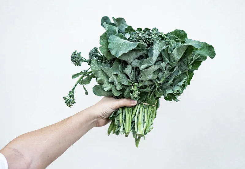 Kale is one of the healthiest foods for the heart