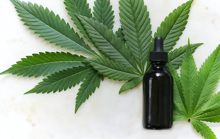 CBD Types – What Are The Different Forms Of CBD Oils And Products?