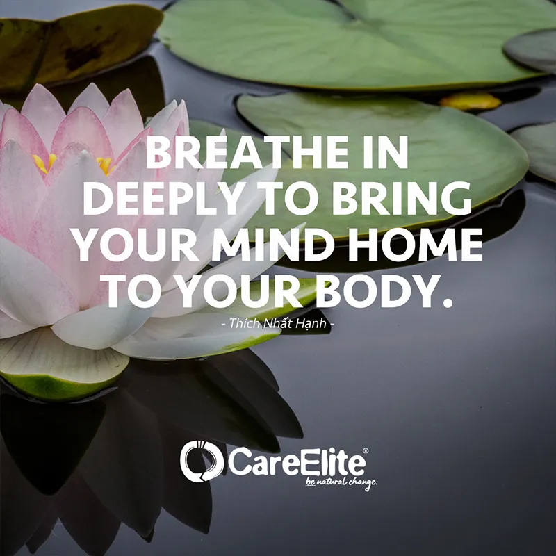 "Breathe in deeply to bring your mind home to your body." (Quote from Thích Nhất Hạnh)