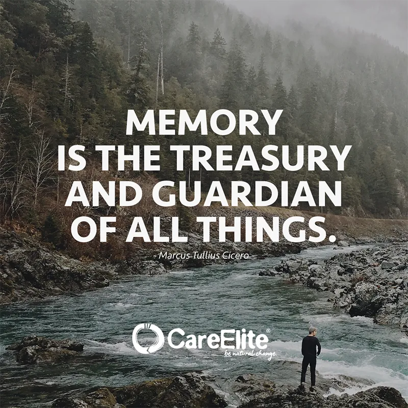 "Memory is the treasury and guardian of all things." (Quote from Marcus Tullius Cicero)