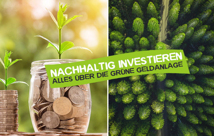 Nachhaltig investieren – Tipps für die grüne Geldanlage