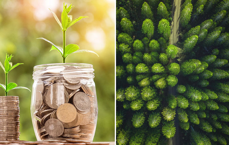 Sustainable Finance – The Best Tips für Green Investing