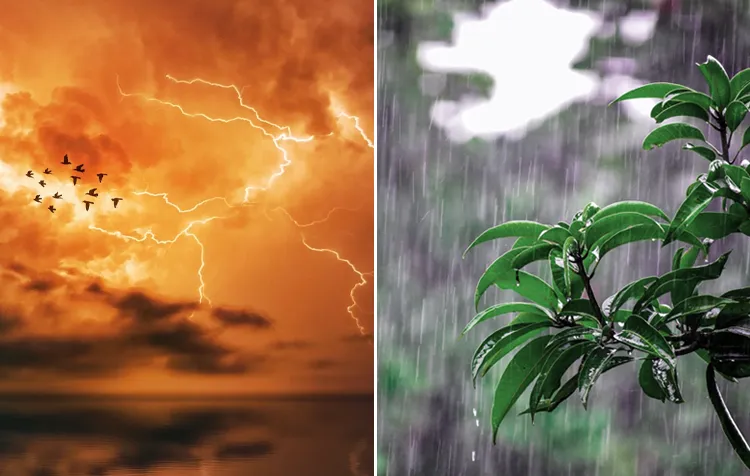 Weather Quotes - 40 Quotes About Meteorology And Weather Conditions