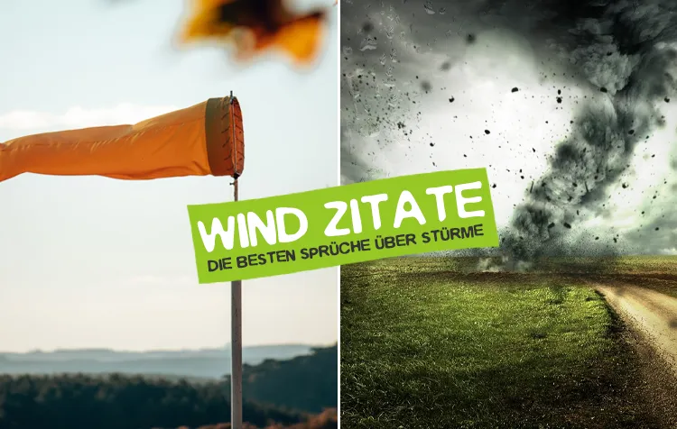 Wind Zitate – Die besten Sprüche über Stürme und die Kraft des Windes