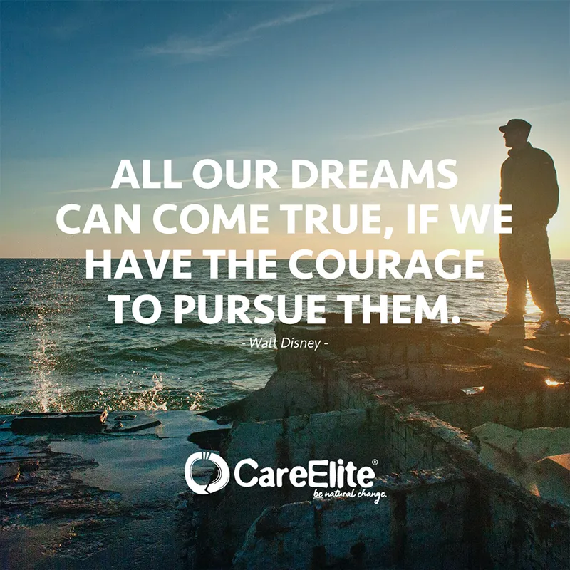 "All our dreams can come true, if we have the courage to pursue them." (Quote from Walt Disney)
