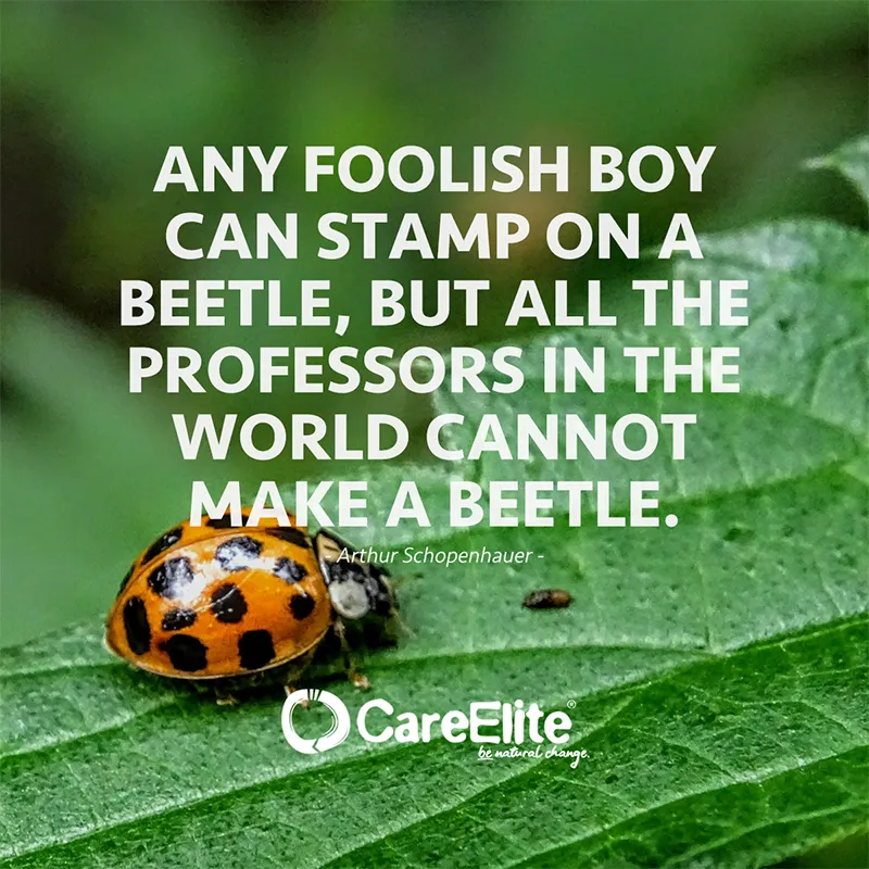 "Any foolish boy can stamp on a beetle, but all the professors in the world cannot make a beetle." (Arthur Schopenhauer)