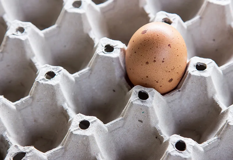 Are eggs without killing chicks even possible?